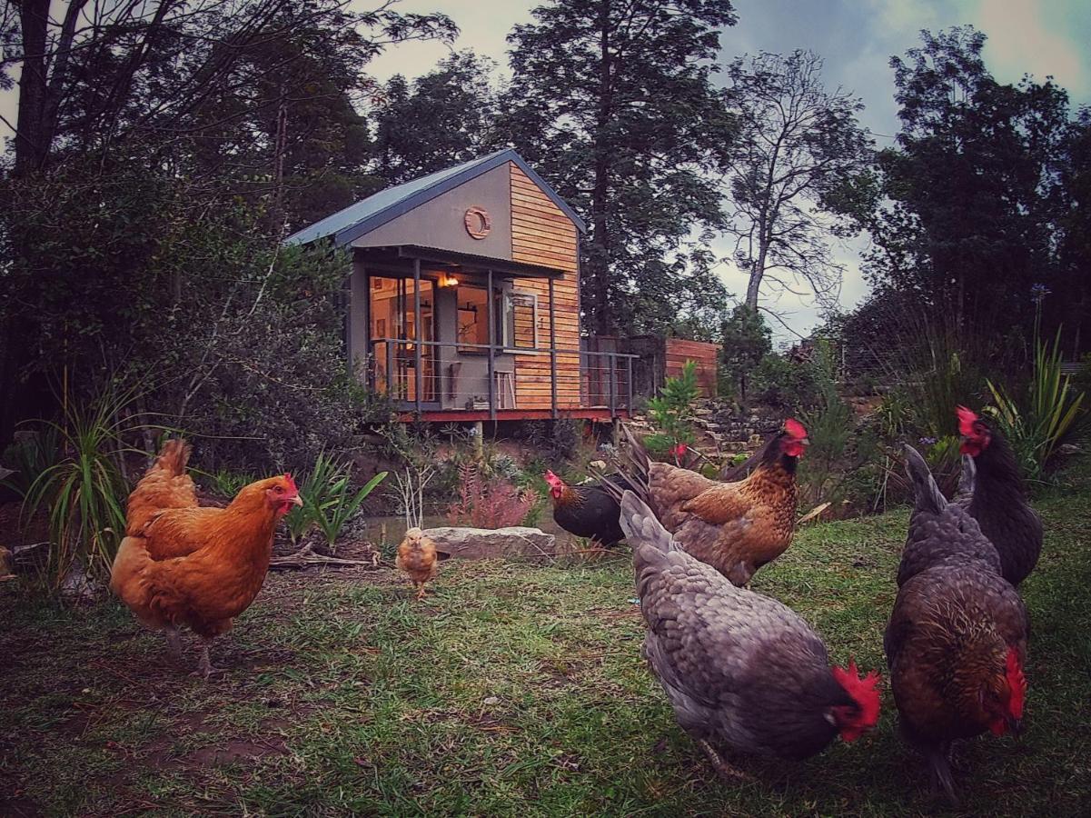 Woodlands Self Catering Ξενοδοχείο Κνύσνα Εξωτερικό φωτογραφία